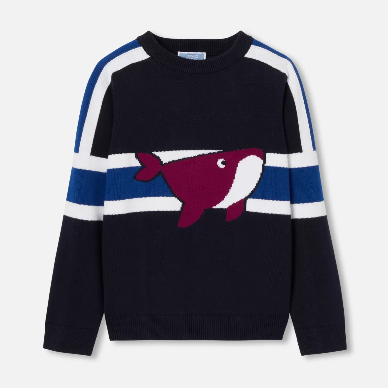 BOY Jacadi Sweaters, Sweatshirts And Cardigans | Boy sweater